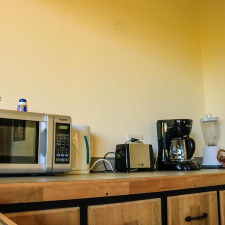 Moon Forest Apartments Monteverde Ngoại thất bức ảnh