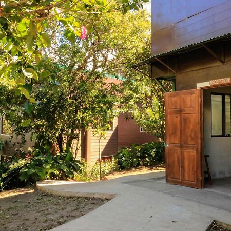 Moon Forest Apartments Monteverde Ngoại thất bức ảnh