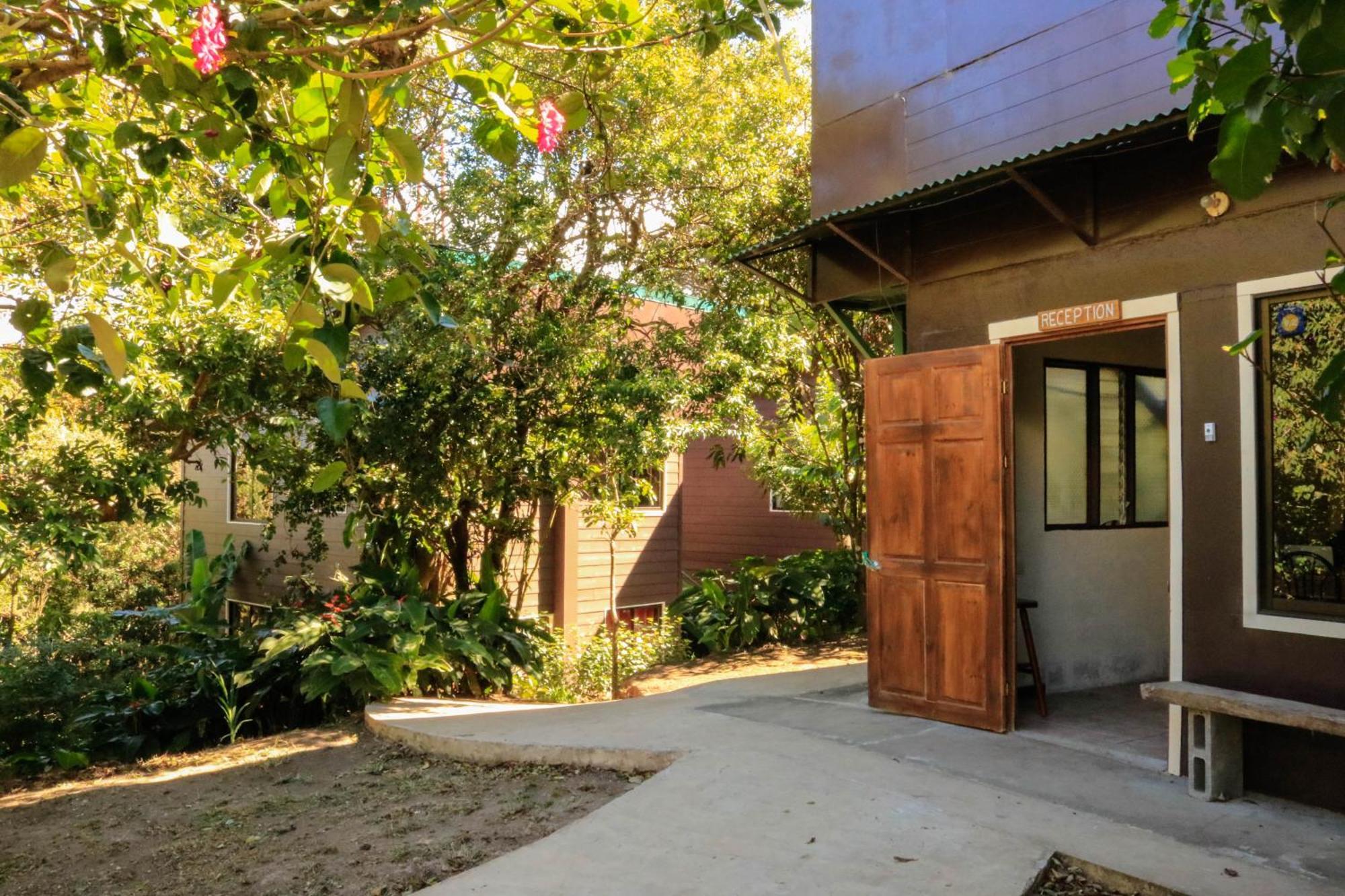Moon Forest Apartments Monteverde Ngoại thất bức ảnh