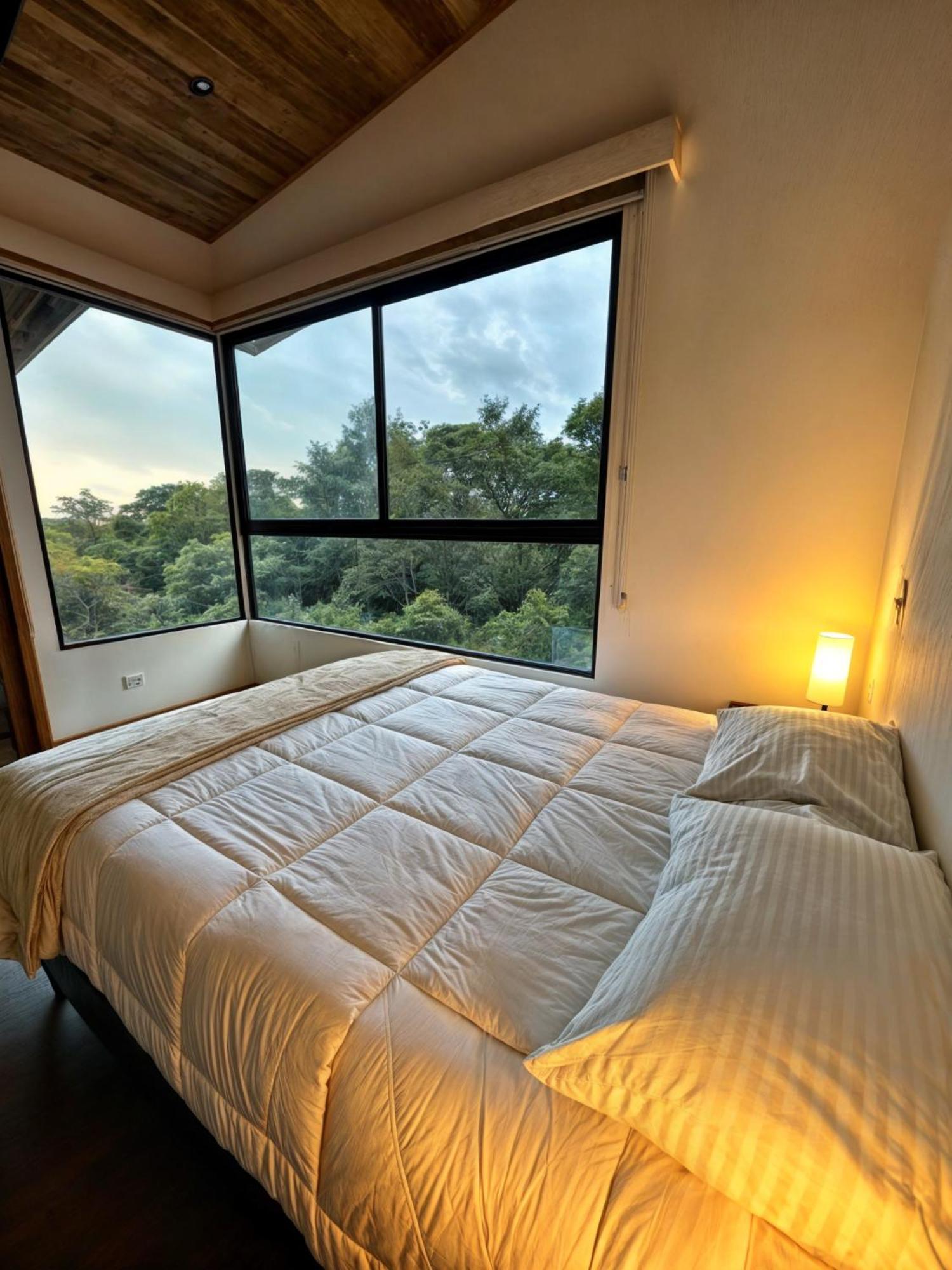 Moon Forest Apartments Monteverde Ngoại thất bức ảnh
