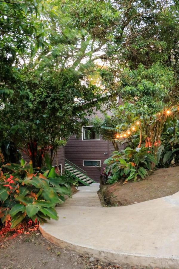 Moon Forest Apartments Monteverde Ngoại thất bức ảnh