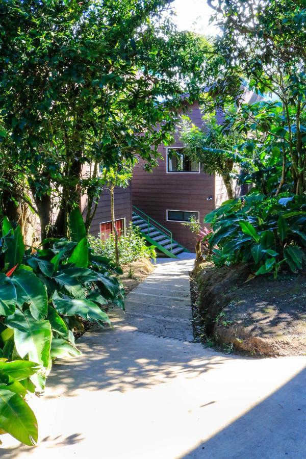 Moon Forest Apartments Monteverde Ngoại thất bức ảnh