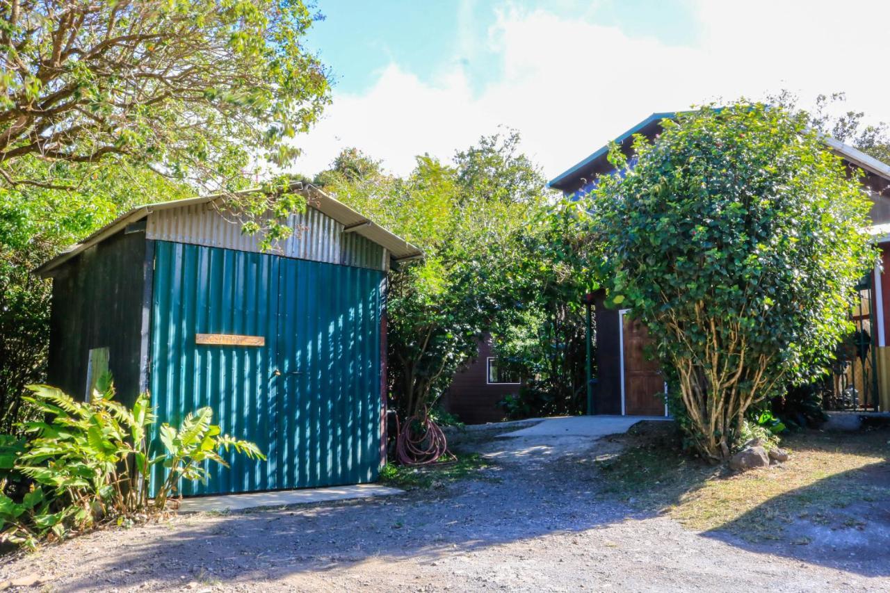 Moon Forest Apartments Monteverde Ngoại thất bức ảnh