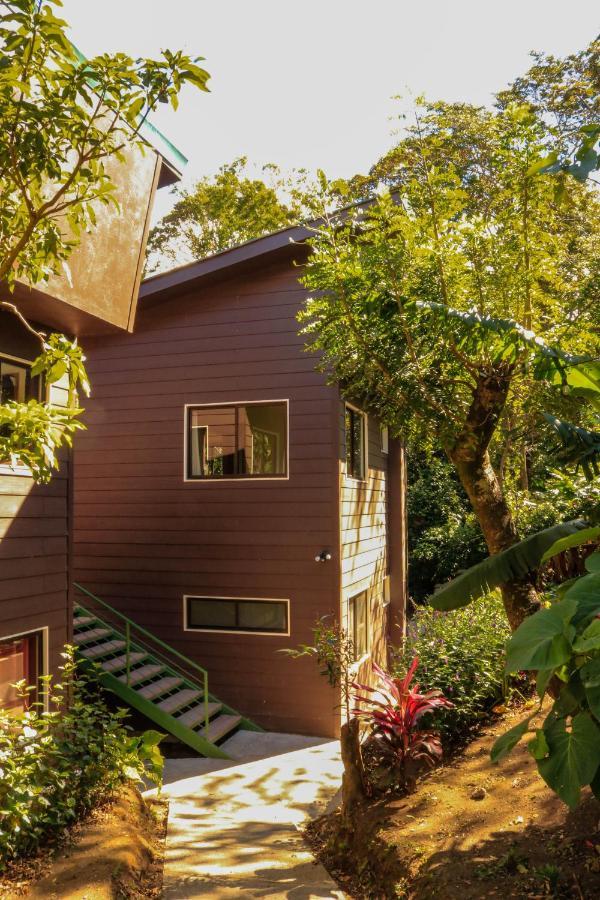 Moon Forest Apartments Monteverde Ngoại thất bức ảnh