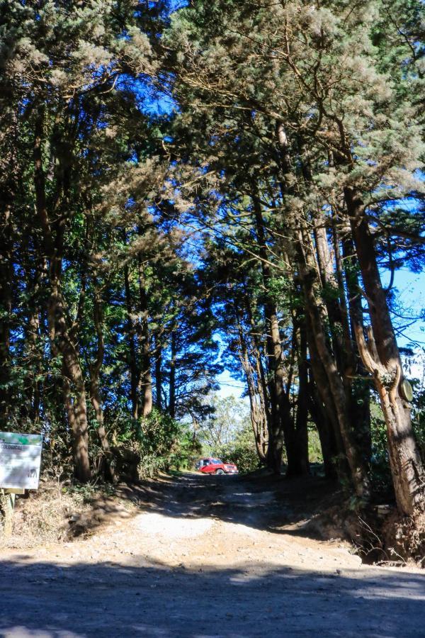 Moon Forest Apartments Monteverde Ngoại thất bức ảnh
