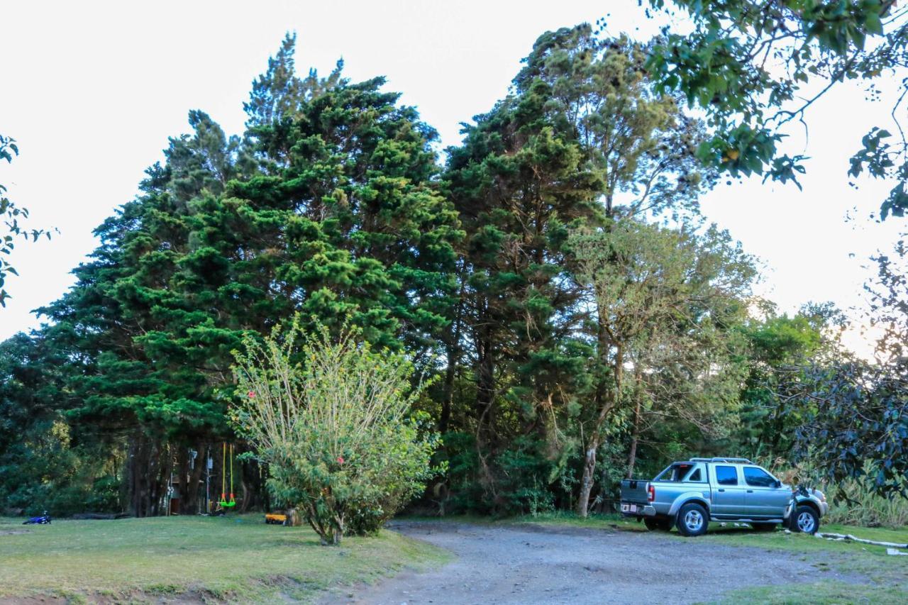 Moon Forest Apartments Monteverde Ngoại thất bức ảnh