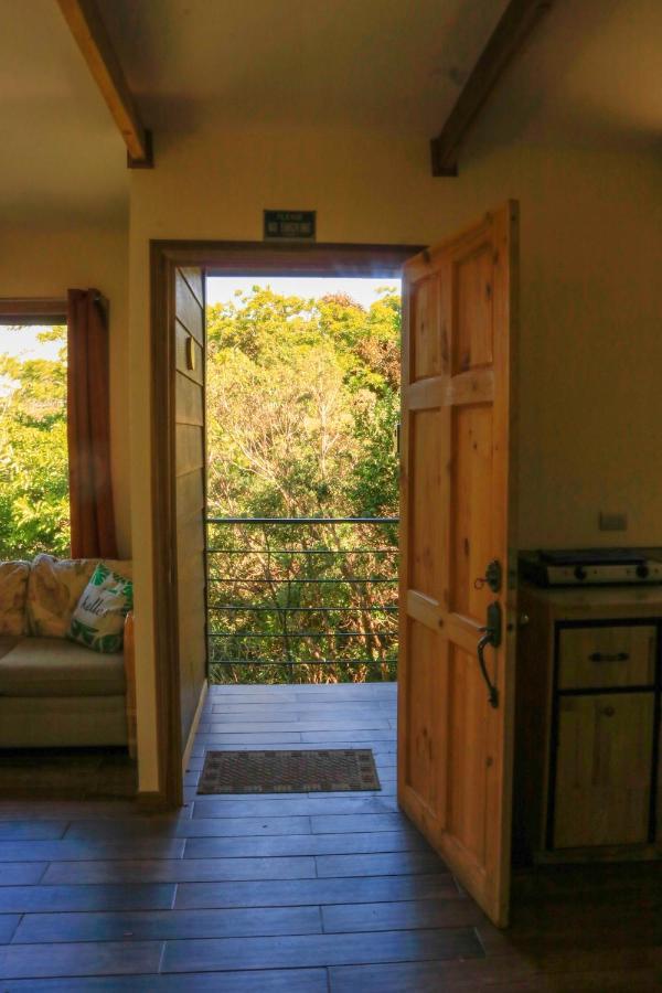 Moon Forest Apartments Monteverde Ngoại thất bức ảnh