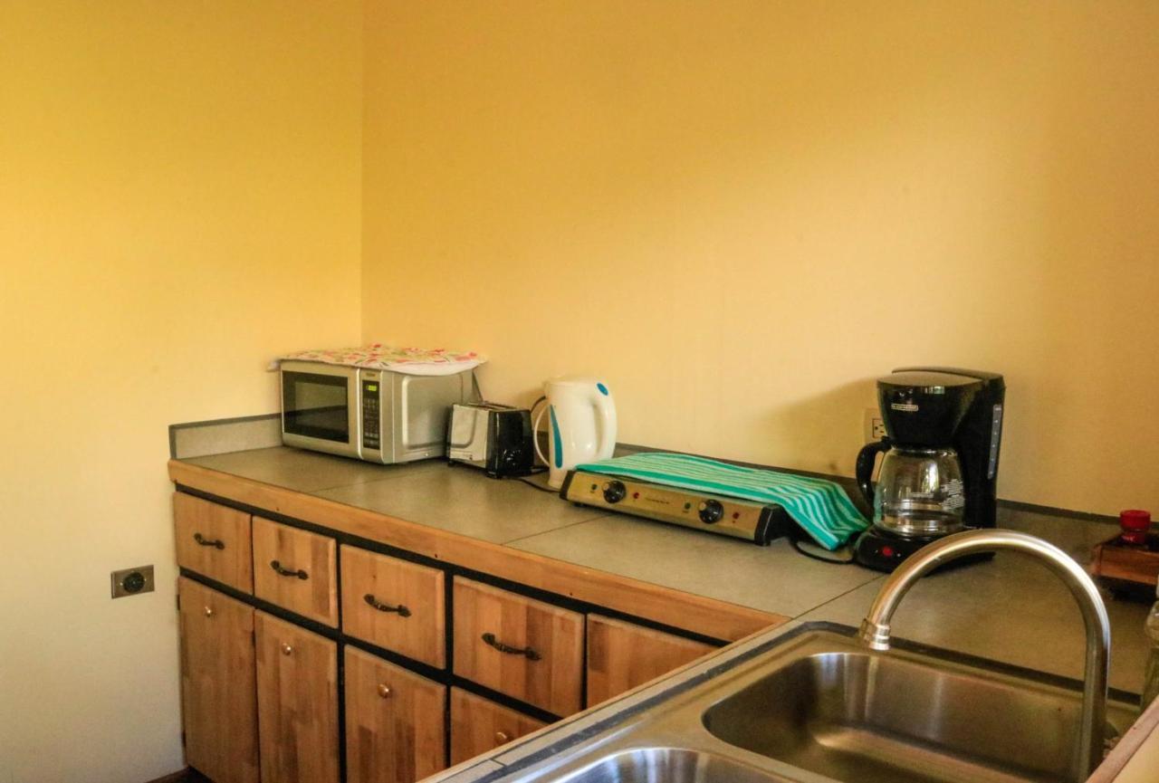 Moon Forest Apartments Monteverde Ngoại thất bức ảnh