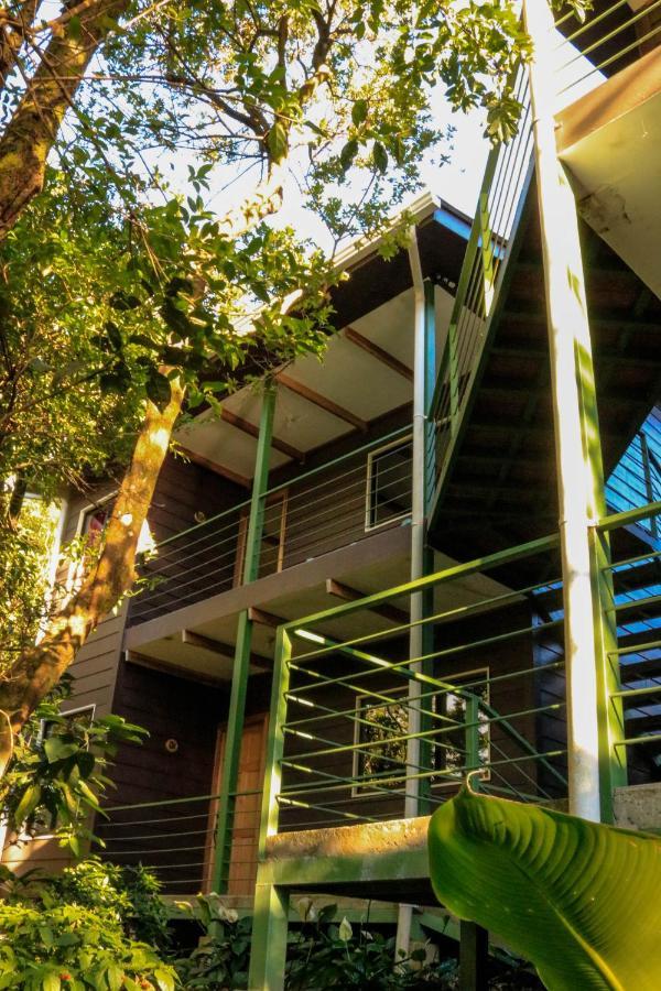 Moon Forest Apartments Monteverde Ngoại thất bức ảnh