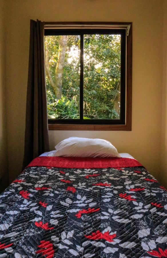 Moon Forest Apartments Monteverde Ngoại thất bức ảnh