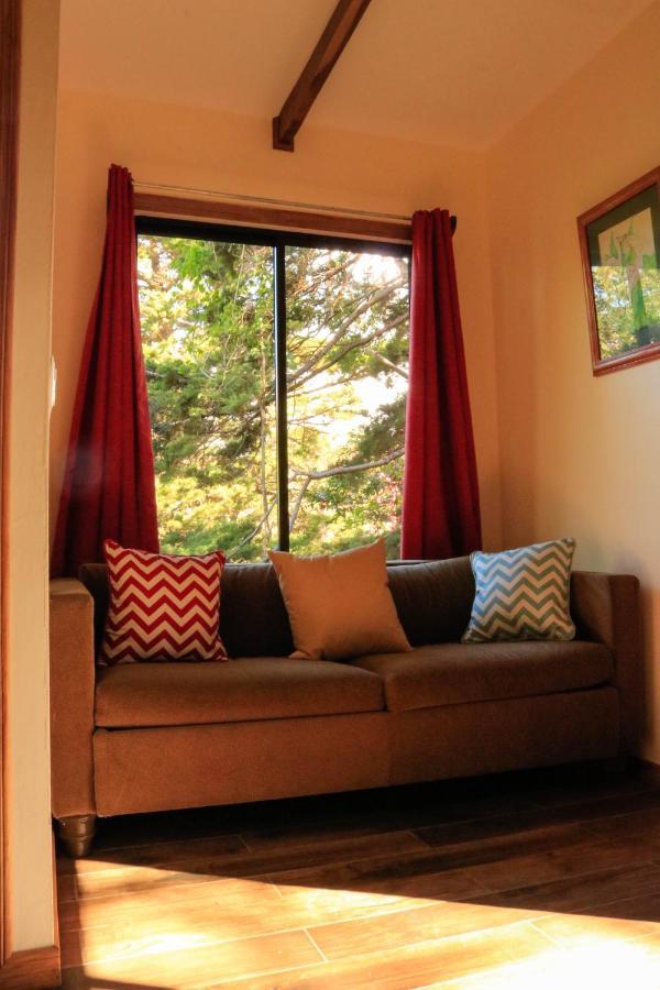 Moon Forest Apartments Monteverde Ngoại thất bức ảnh
